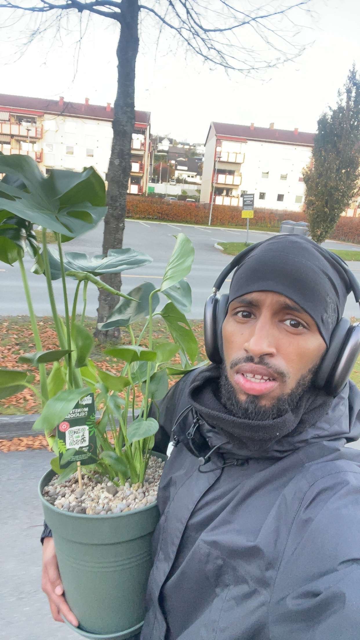 Abdi med plante, hverdagsøyeblikk